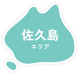 佐久島エリア